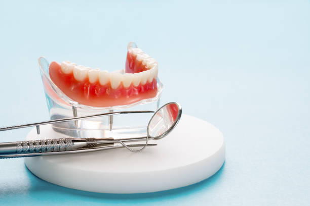 Professional Holistic Dental Care Services in Godley, TX